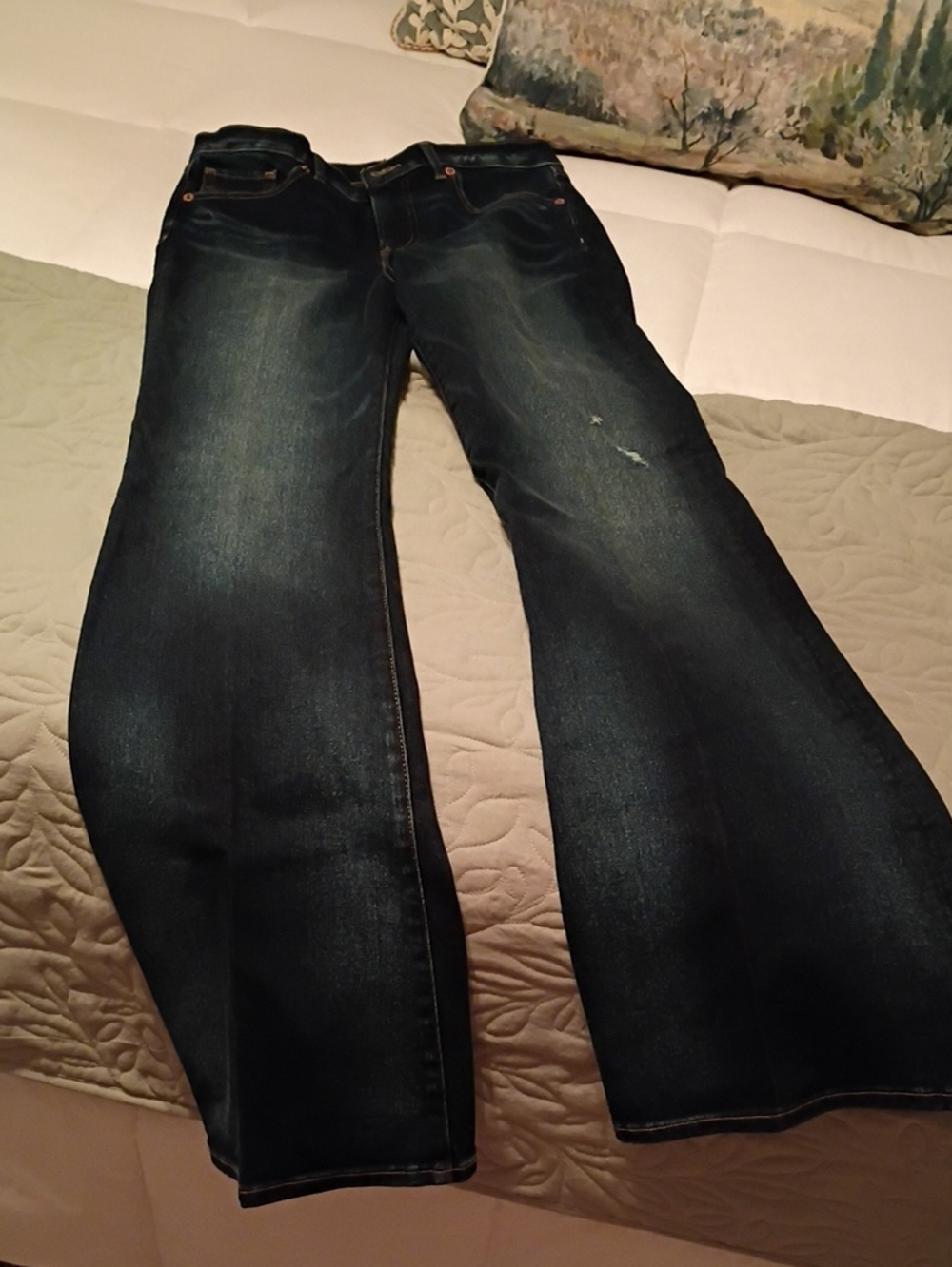 Express Dark Indigo Wide-Leg Jeans for Women